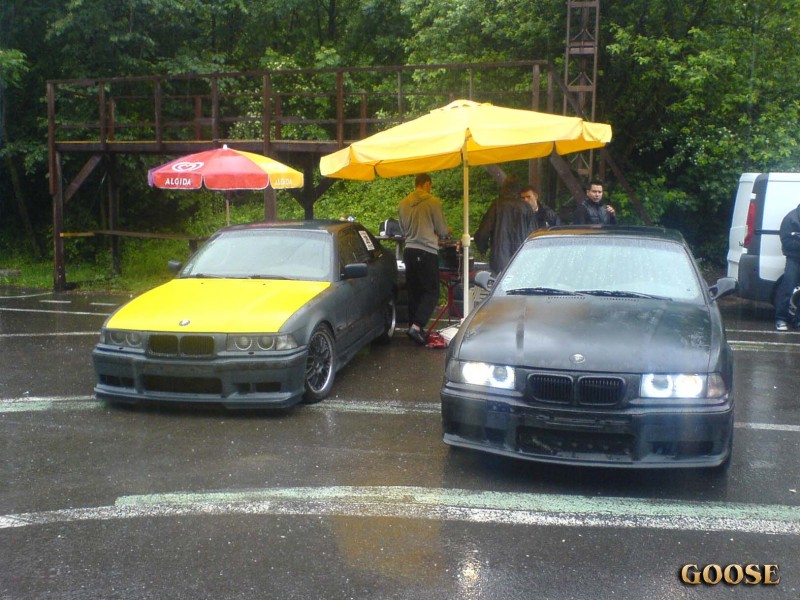 DSC01455.jpg