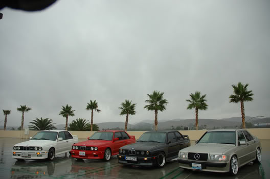DSC_0882.jpg