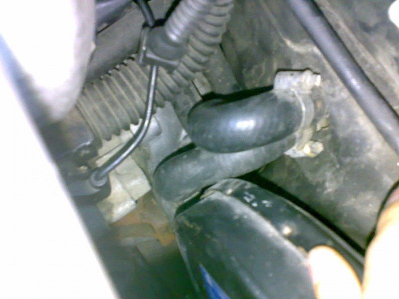 04062009819.jpg