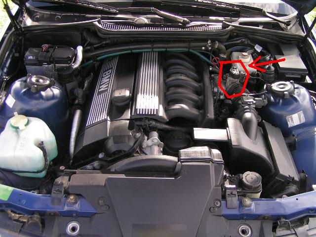 pict4182vi9asc.JPG