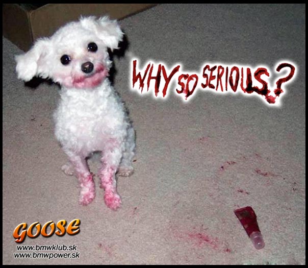 why so serious copy.jpg