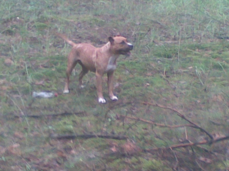 23062009(002).jpg (196.37 KiB) 774 zobrazení 23062009(002).jpg