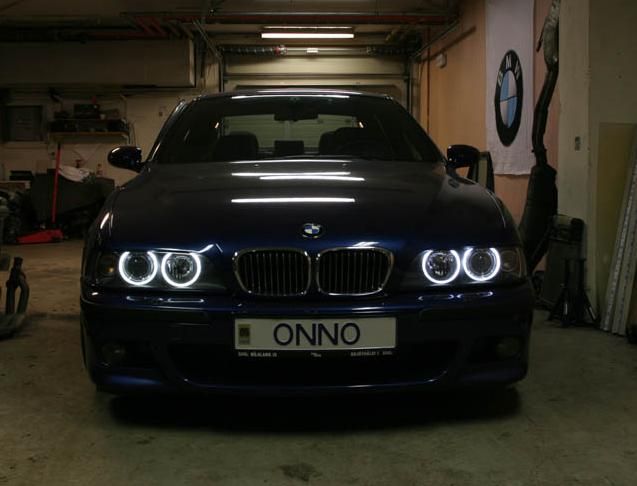 7807591.jpg
