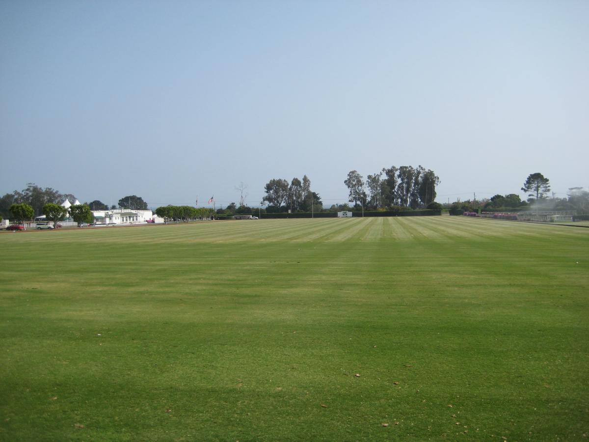 sbpolo3_large.jpg
