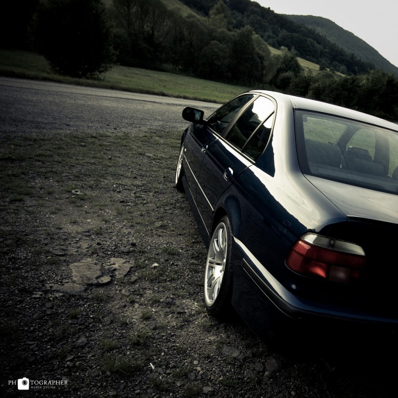 IMG_3684x.jpg