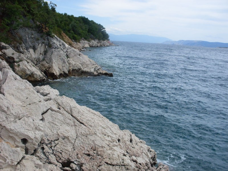 SDC10258.JPG