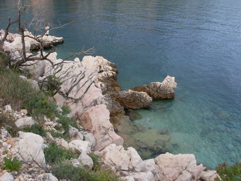 SDC10309.JPG