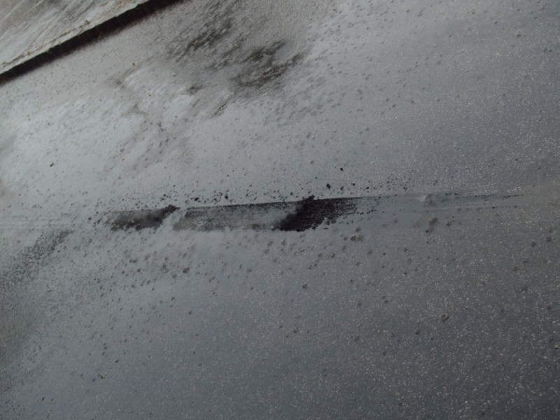 P7181964.JPG