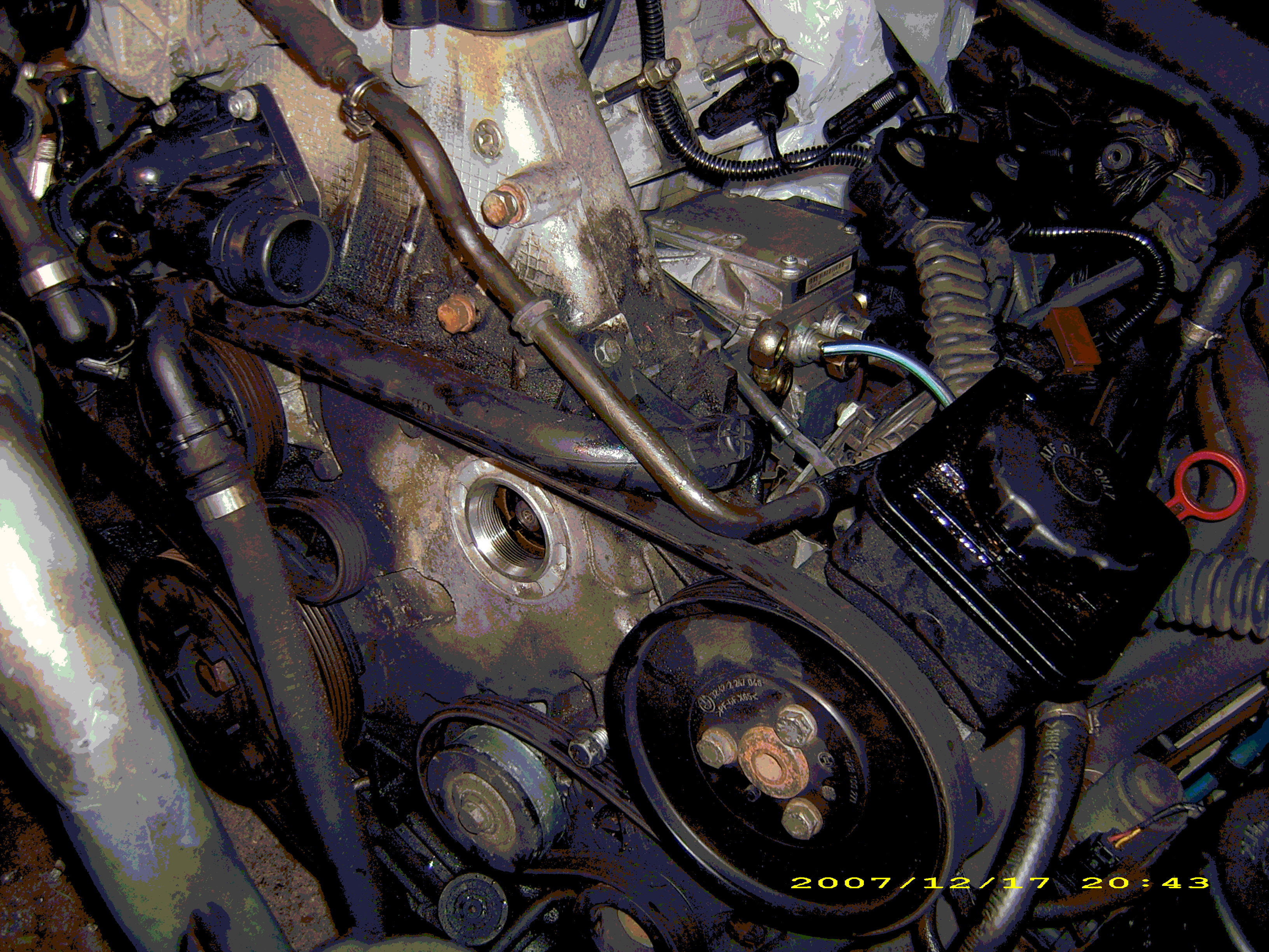 DSCI09667.GIF