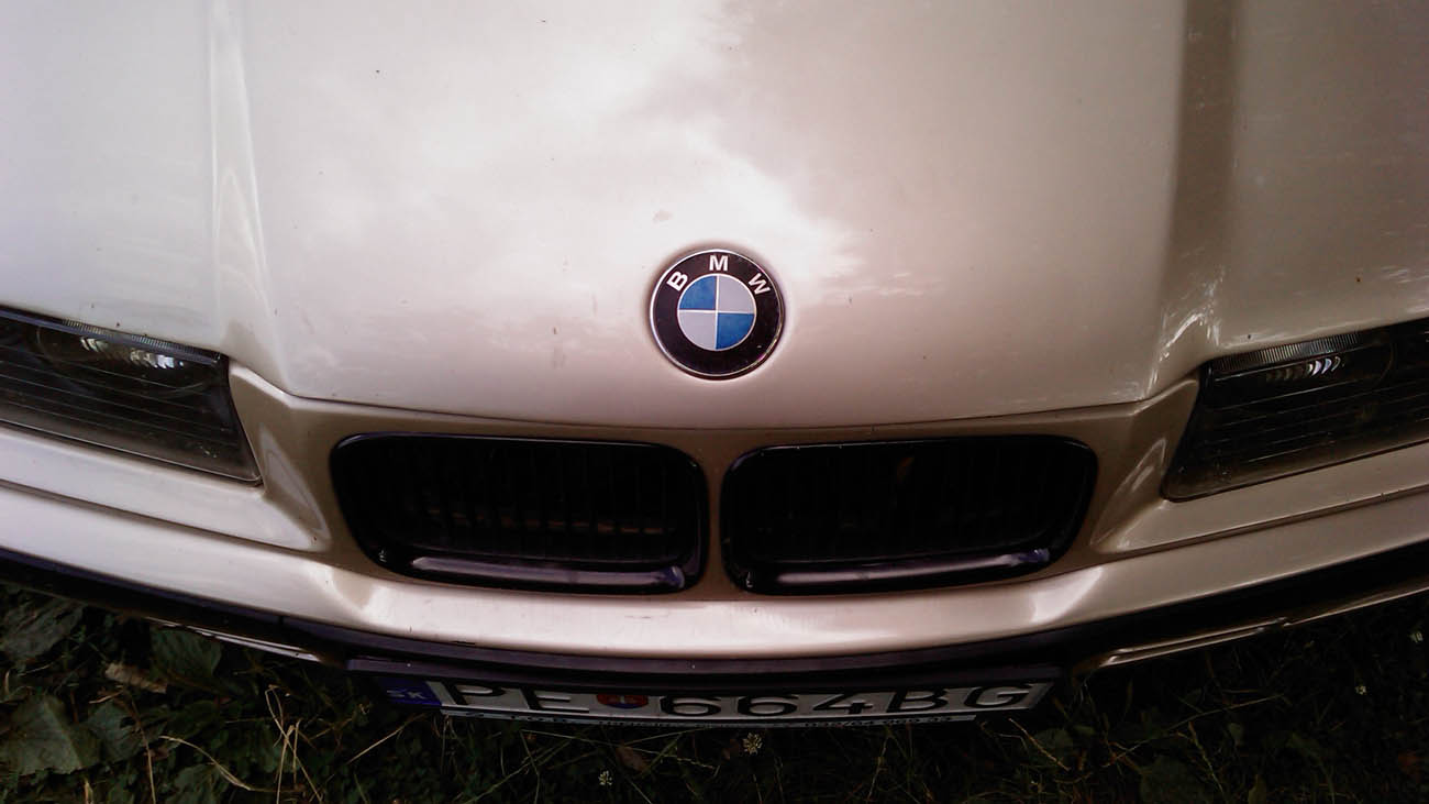 IMAG0743.jpg