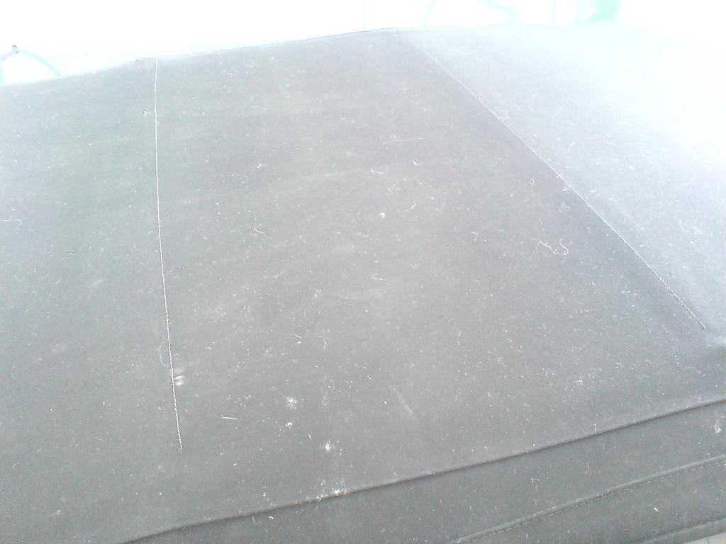 DSC00780.JPG