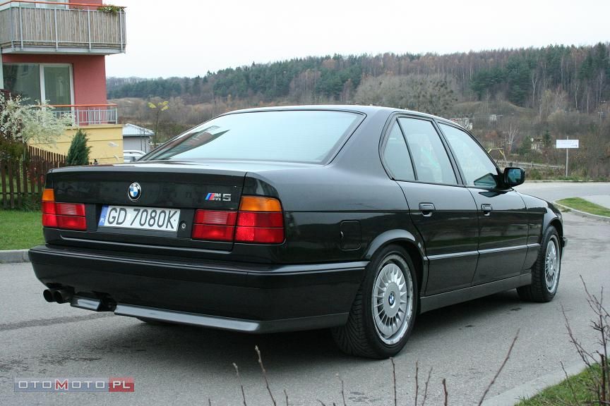C7396073_2.jpg