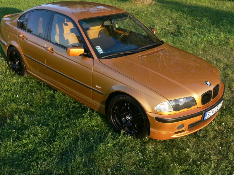 P1170902.JPG (296.01 KiB) 1635 zobrazení P1170902.JPG