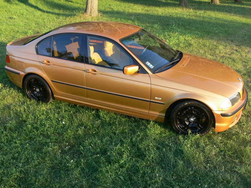 P1170909.JPG (307.03 KiB) 1712 zobrazení P1170909.JPG