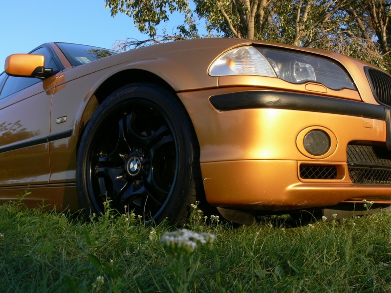 P1170920.JPG (226.85 KiB) 1572 zobrazení P1170920.JPG