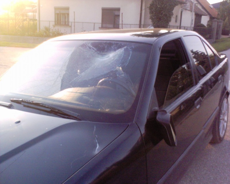 DSC00010.jpg