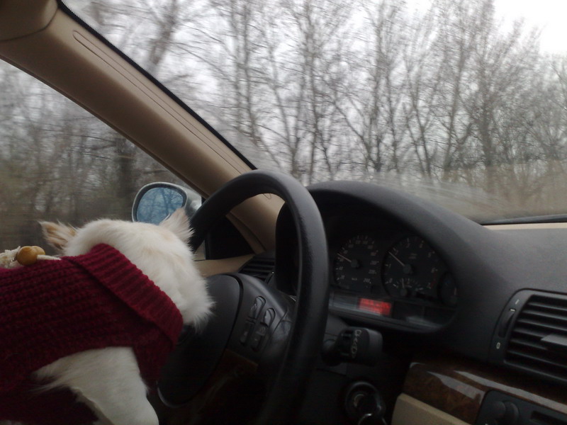 24122007010_resize.jpg