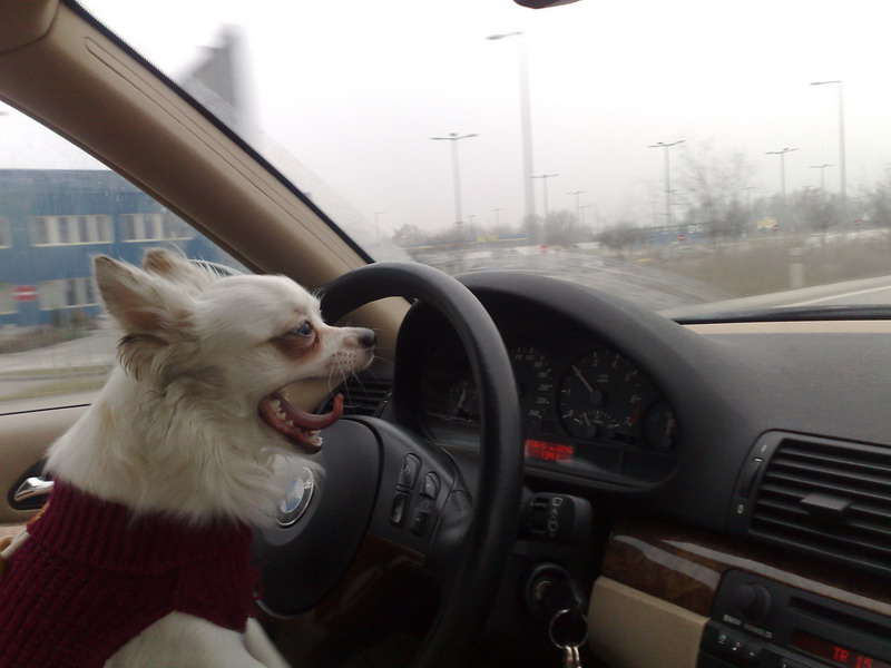 24122007009_resize.jpg