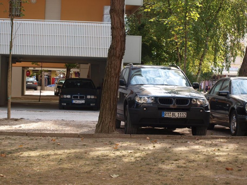 P9113154.JPG