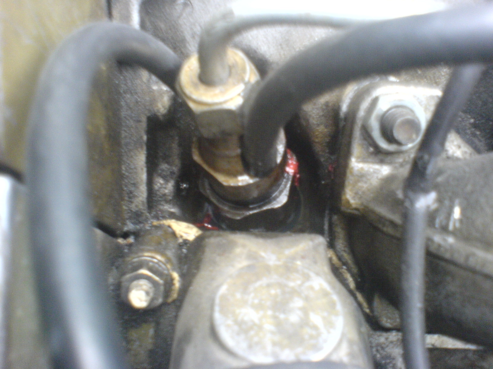 DSC00926.JPG