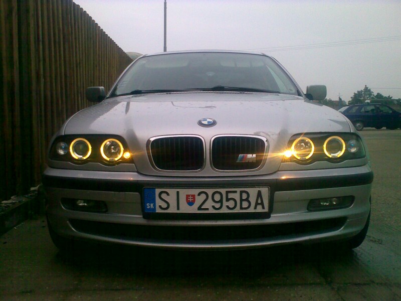 Img229.jpg