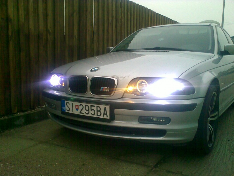 Img226.jpg