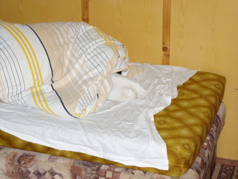 P9200084.JPG