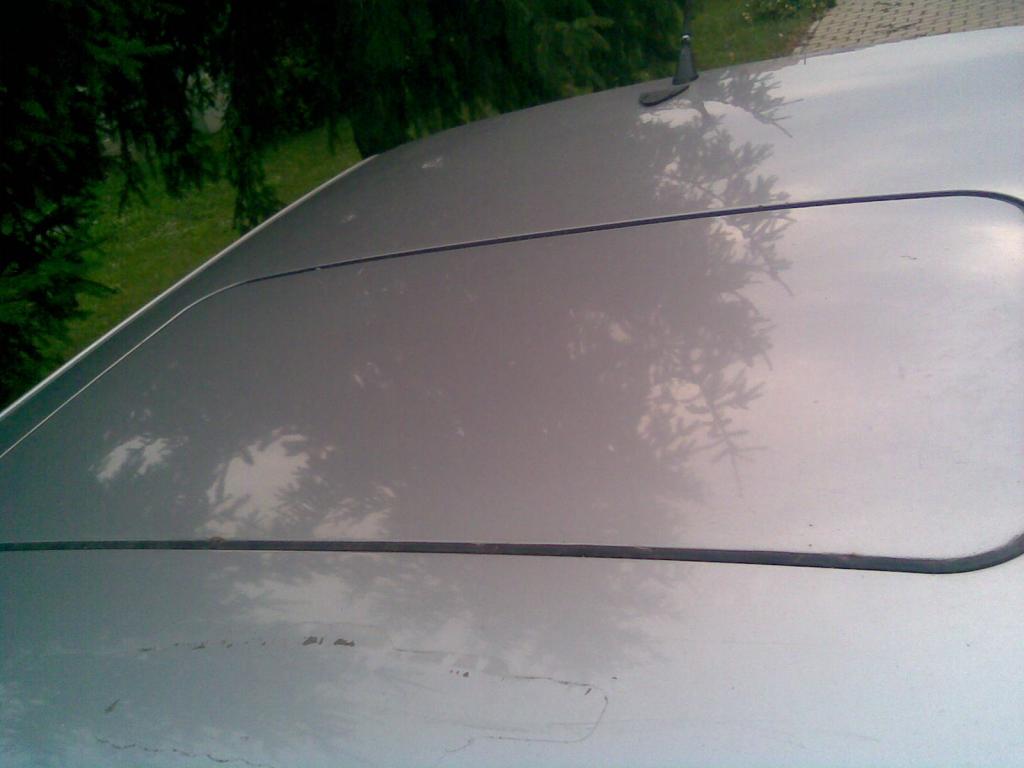 1140450_5.jpg