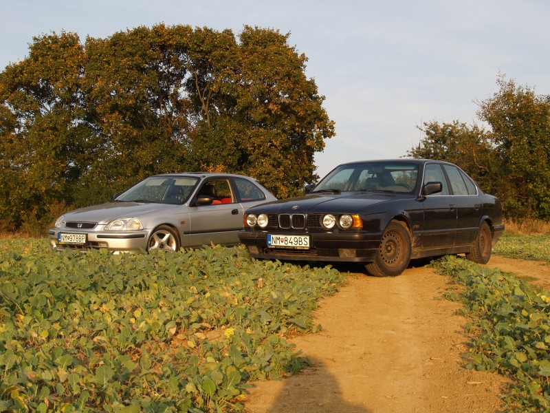 P9206672.JPG (1.9 MiB) 3857 zobrazení P9206672.JPG