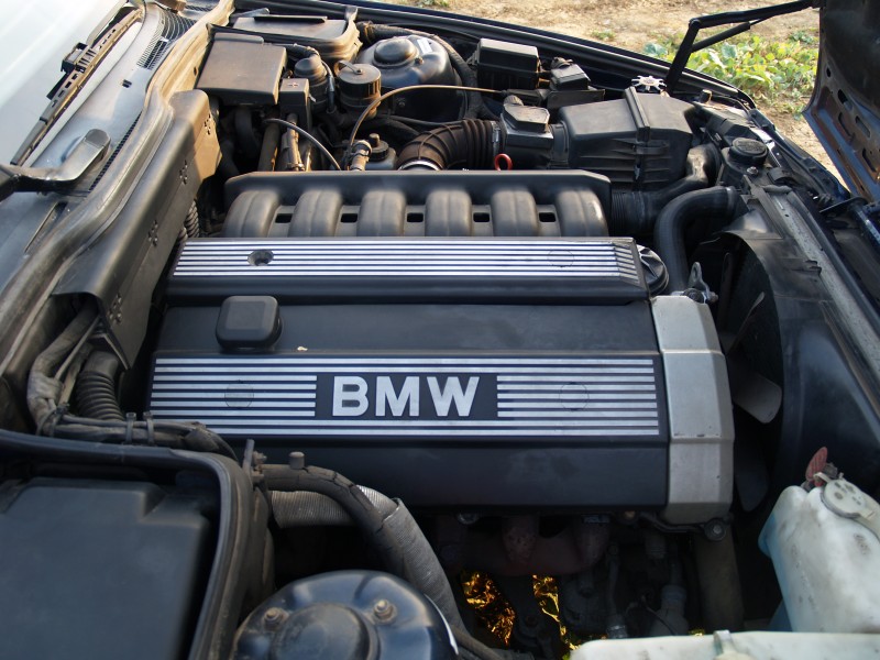 P9206698.JPG (1.64 MiB) 3857 zobrazení P9206698.JPG