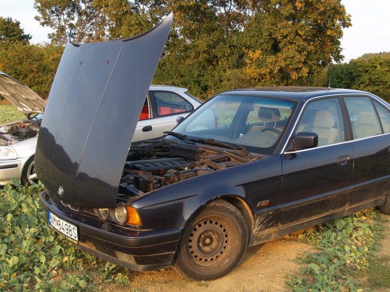 P9206712.JPG (1.75 MiB) 3857 zobrazení P9206712.JPG