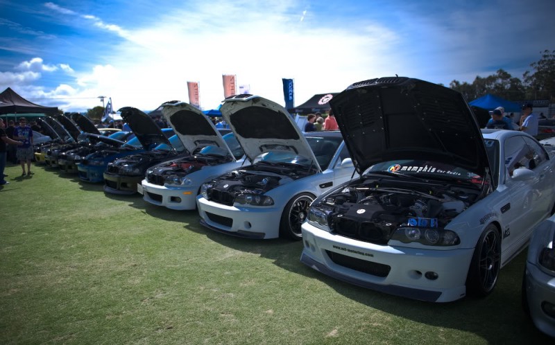 DSC_8424.jpg