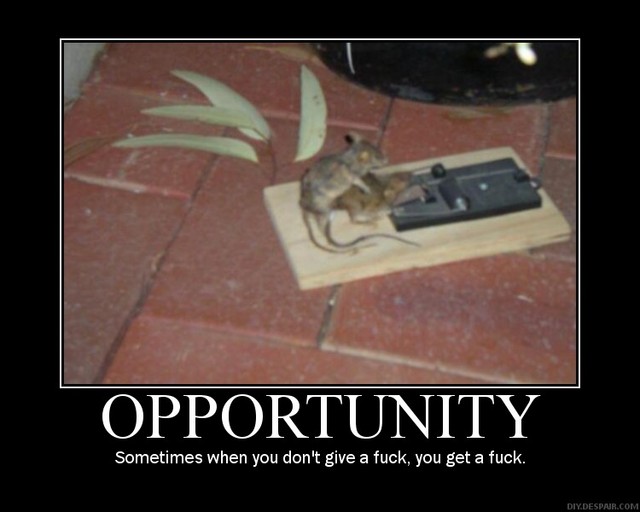opporunity.jpg