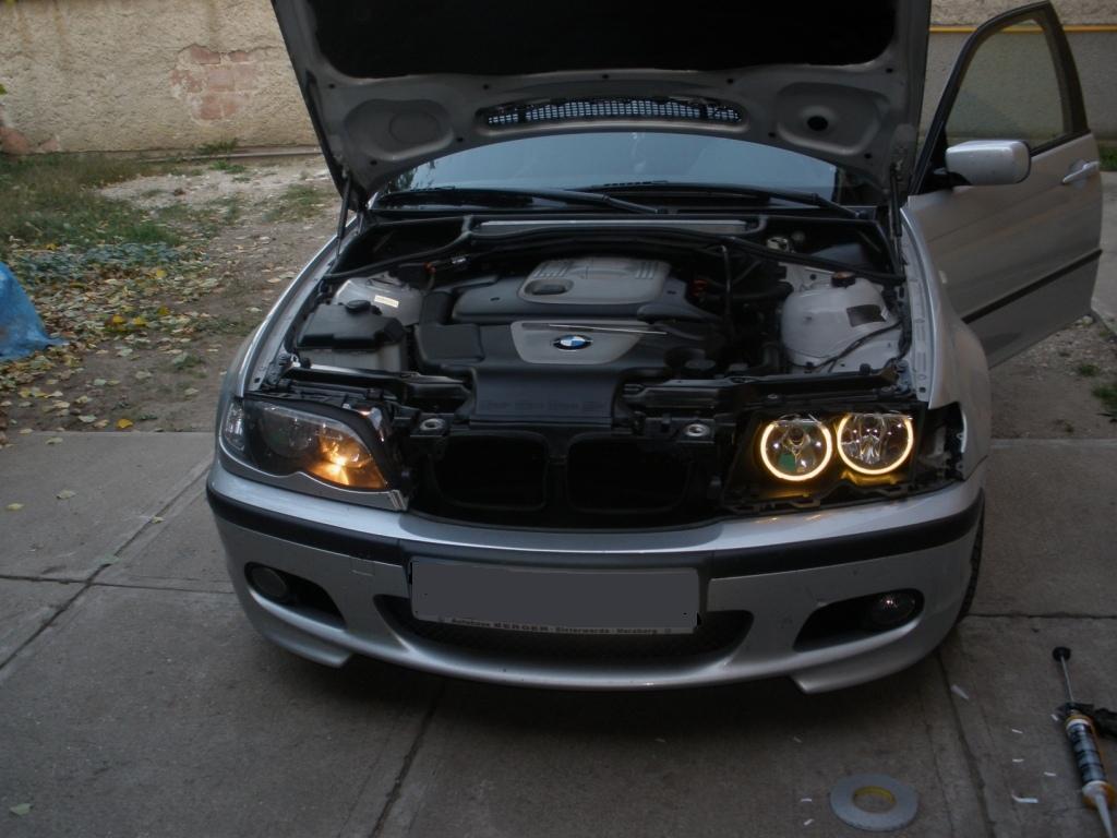 Angel Eyes.JPG