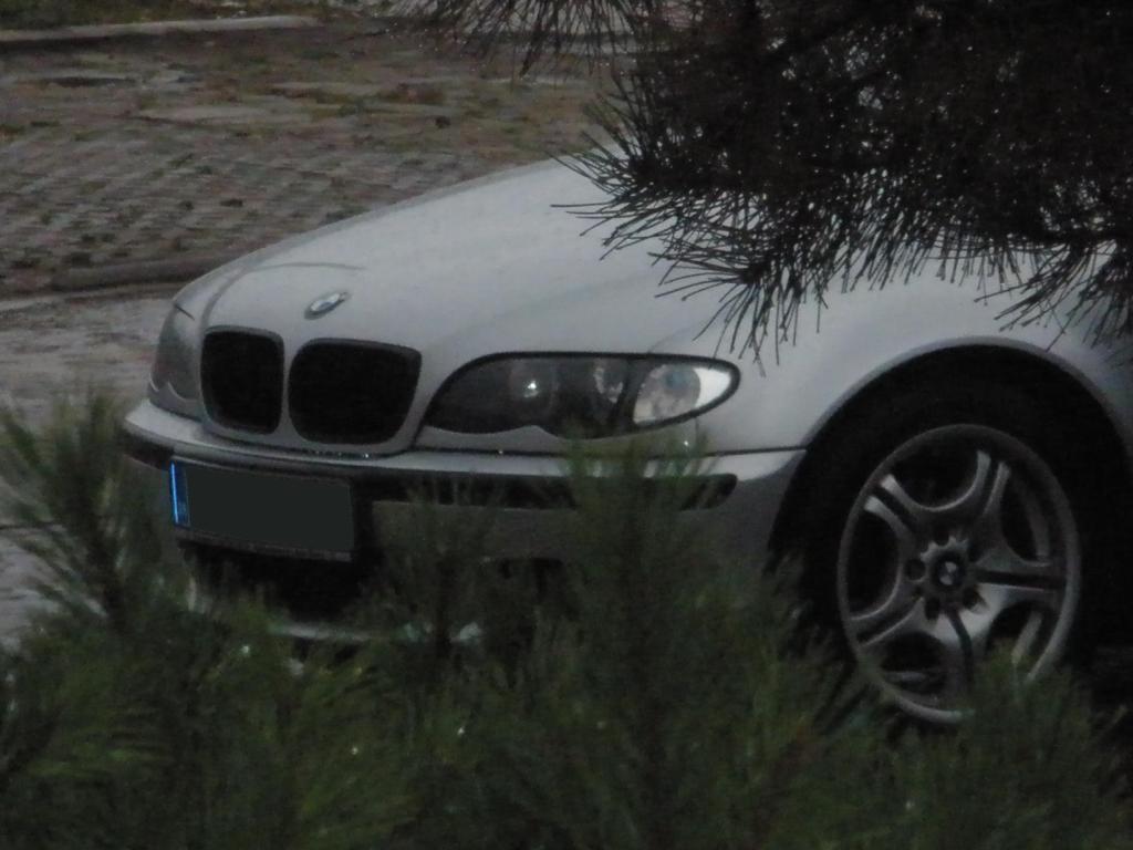 5.JPG