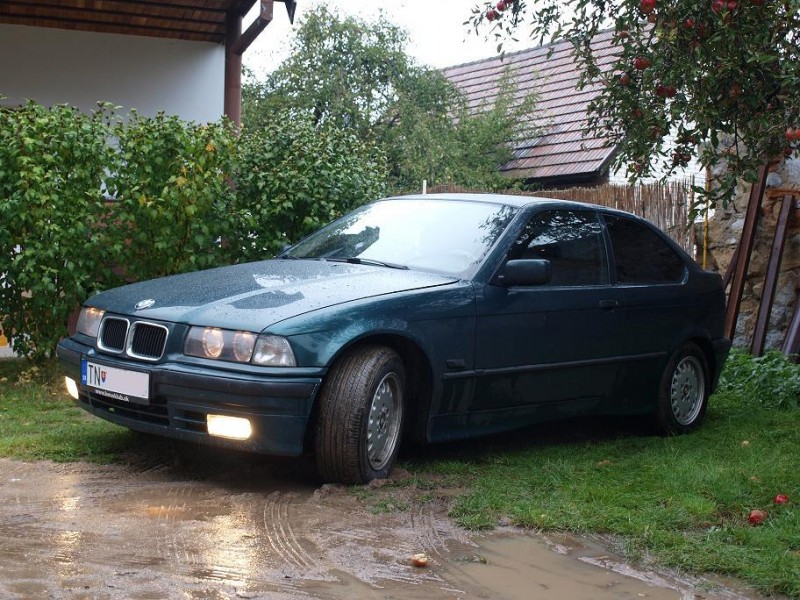 PA175336.JPG