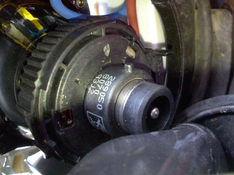 IMG175.jpg