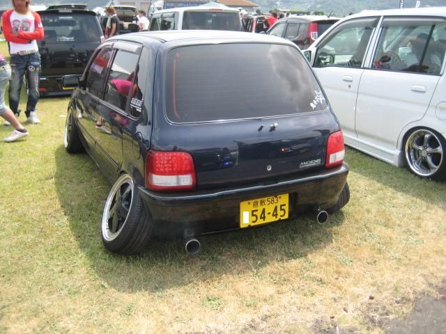 p6.jpg