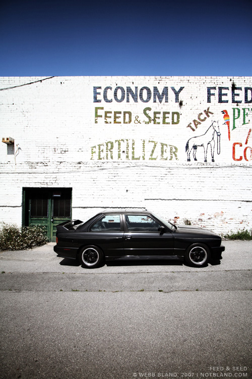 feed_and_seed.jpg