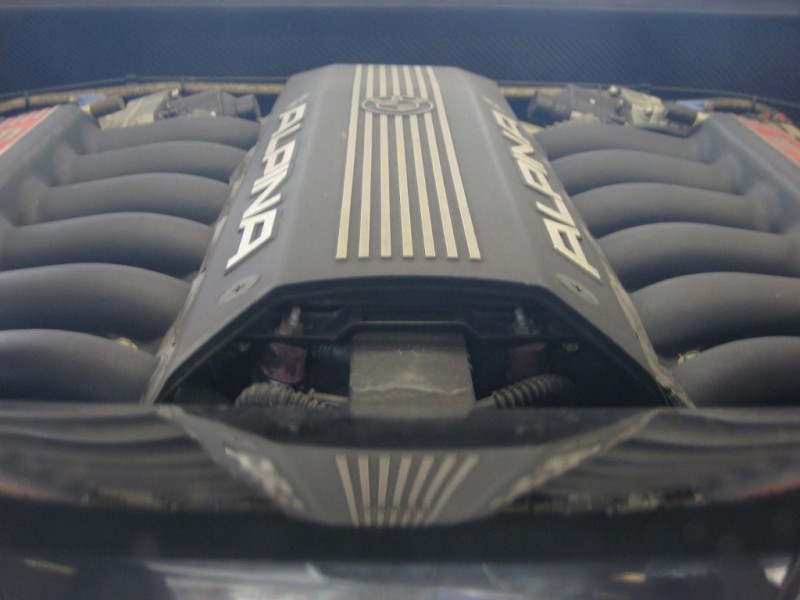 831497.jpg