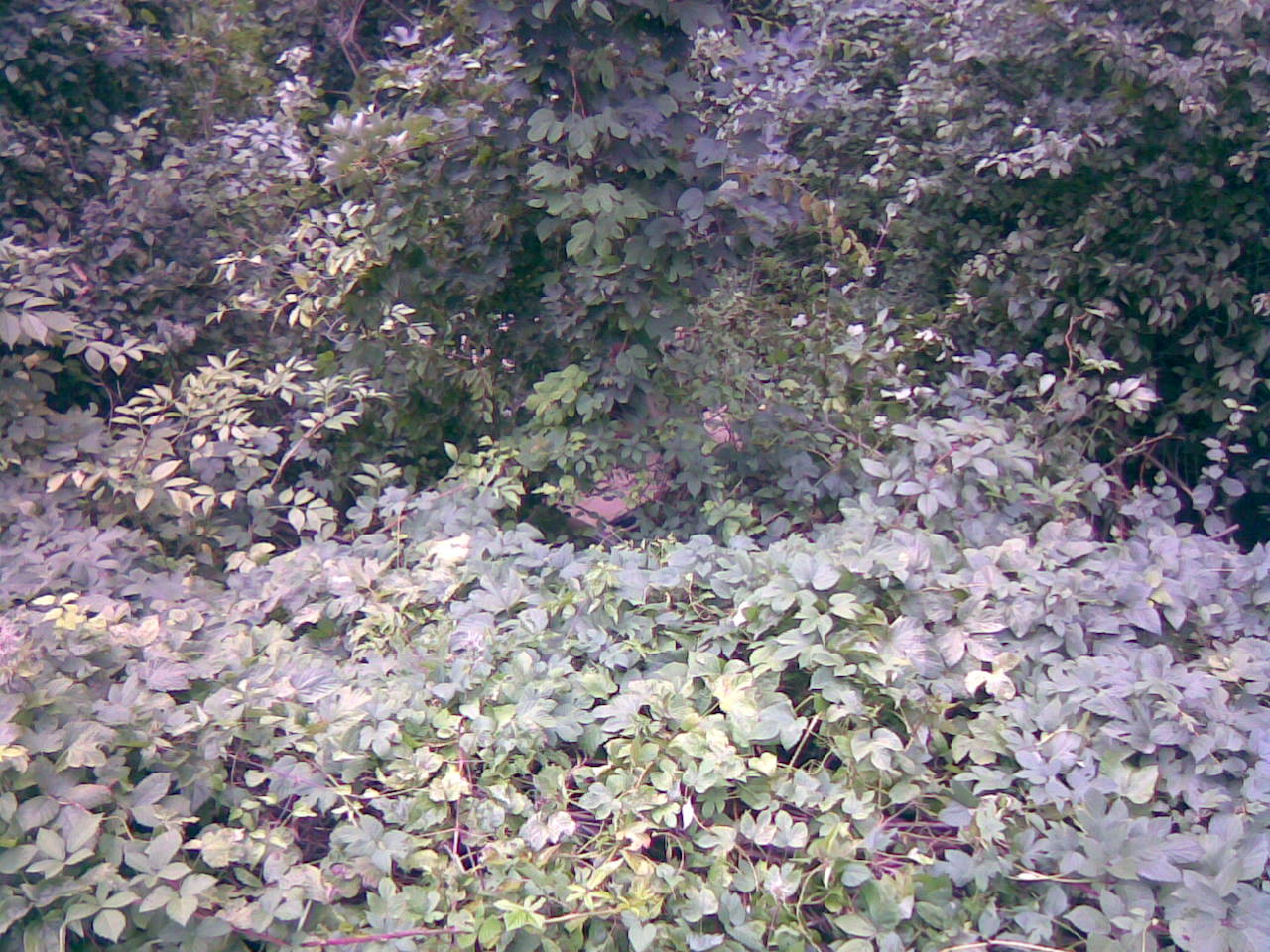 01092007(006).jpg