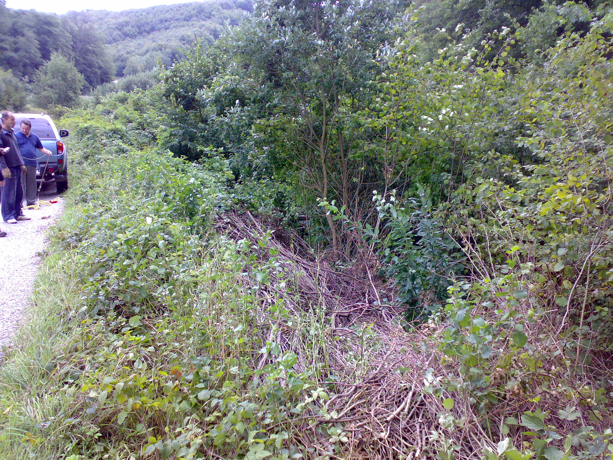01092007101.jpg