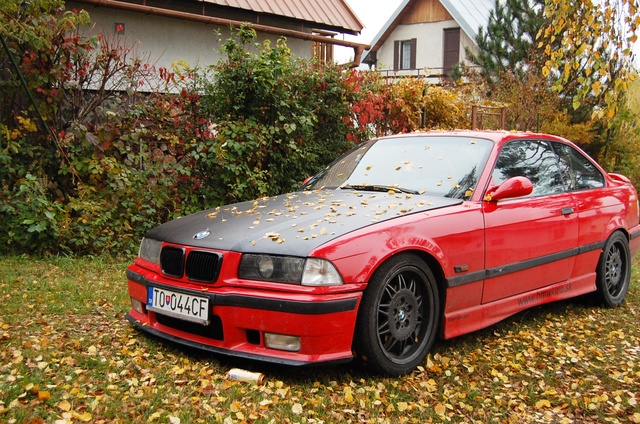 dsc3834r.jpg