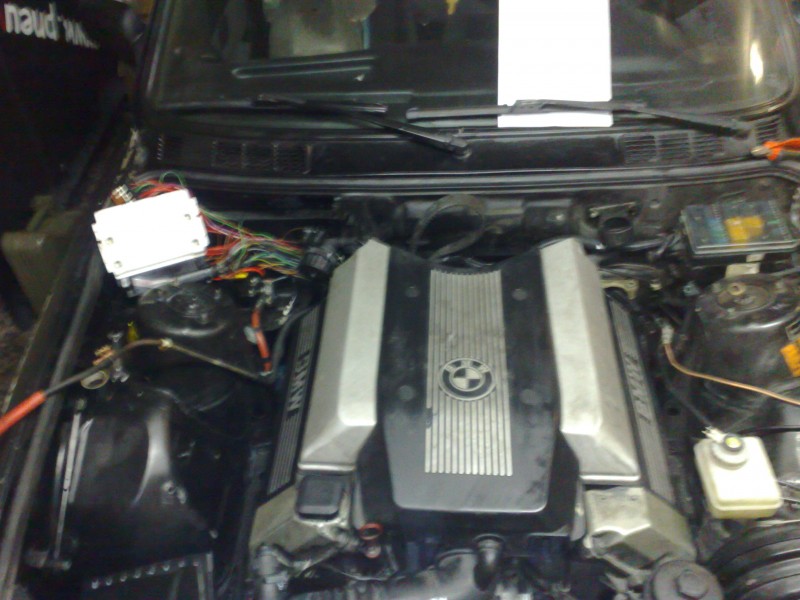 24112009770.jpg