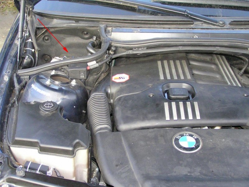 PB260001.JPG