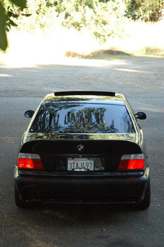 DSC_6490.jpg