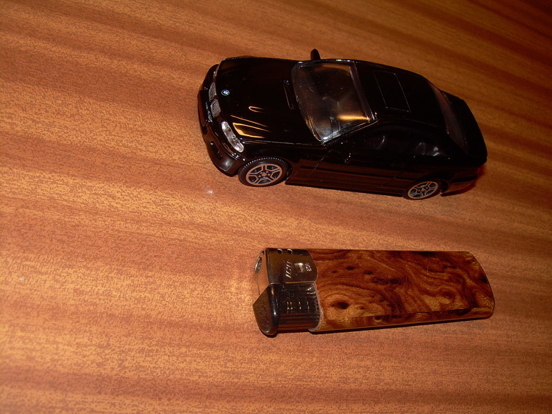 DSCN3971_resize.JPG