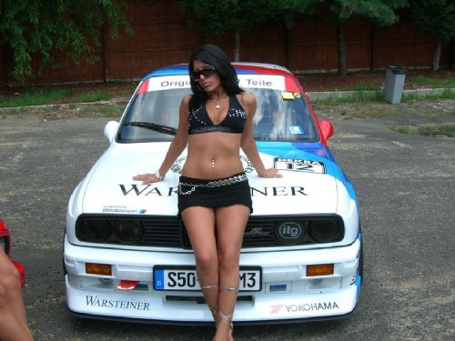 bmw_brown_chick.JPG