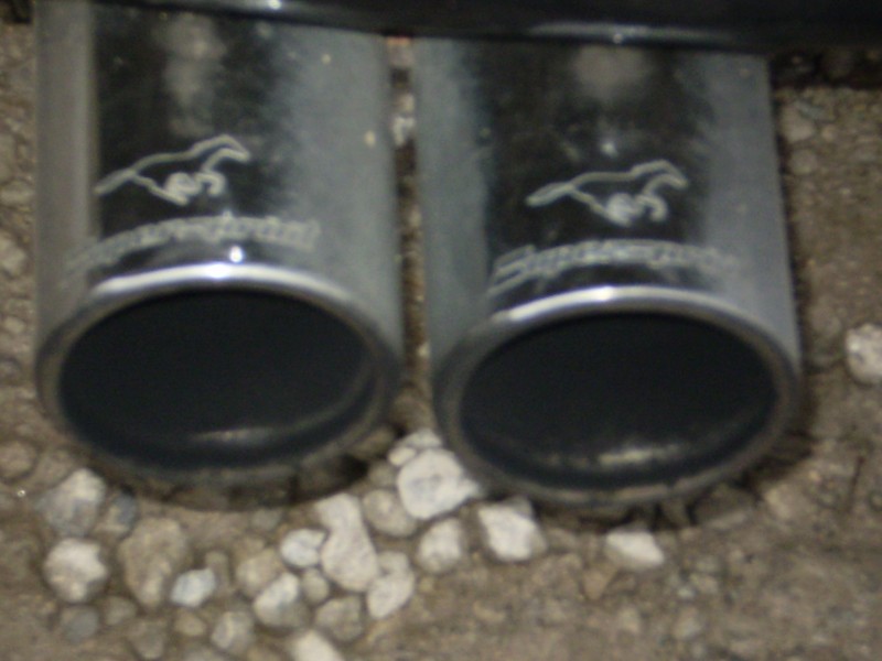 PB170068.JPG