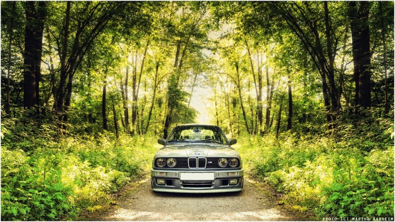 e306.jpg